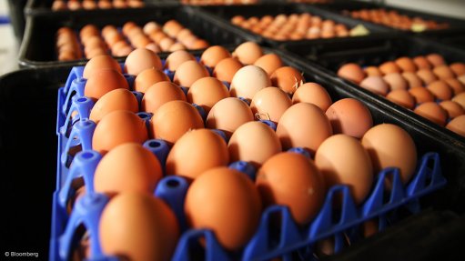 Egg production is undoubtedly taking a knock this year, Sapa confirms 