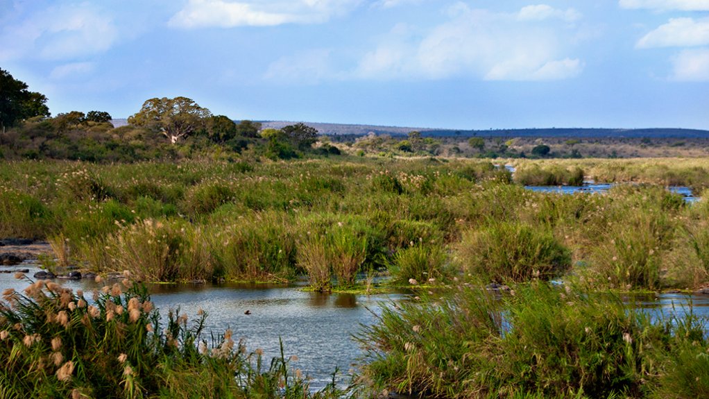 Image of artificial wetlands created by WEC Projects