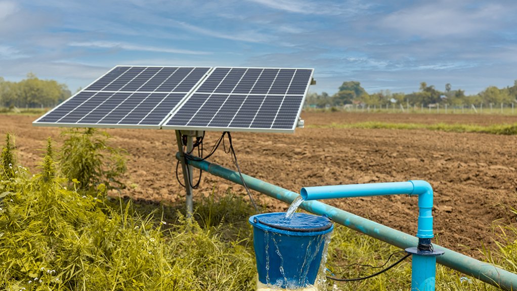 Solar panel-powered water pump