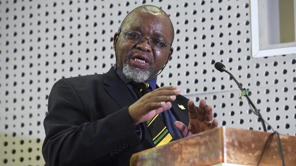 Mineral Resources and Energy Minister Gwede Mantashe