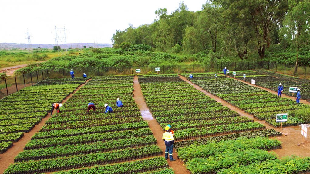 A Glencore land rehabilitation project in DRC 