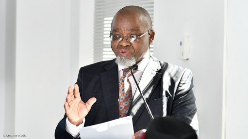 Mineral Resources and Energy Minister Gwede Mantashe