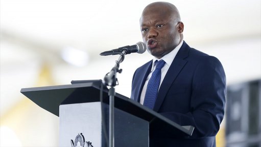 Public Works and Infrastructure Minister Sihle Zikalala.