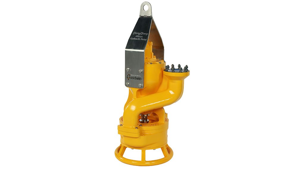 Image of Goodwin Slurry Champ pump product 