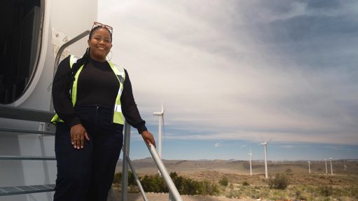 Black female-owned DLO Energy Group closes wind farm acquisition 