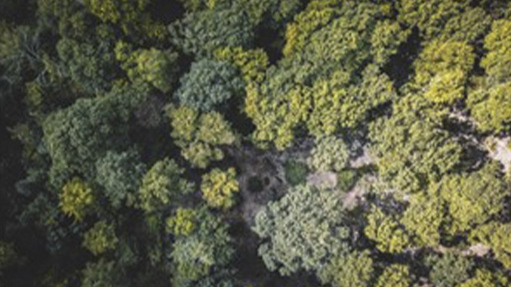 The Potential and Advantages of the Use of Drones and Associated Technologies to Monitor Environmental Impacts