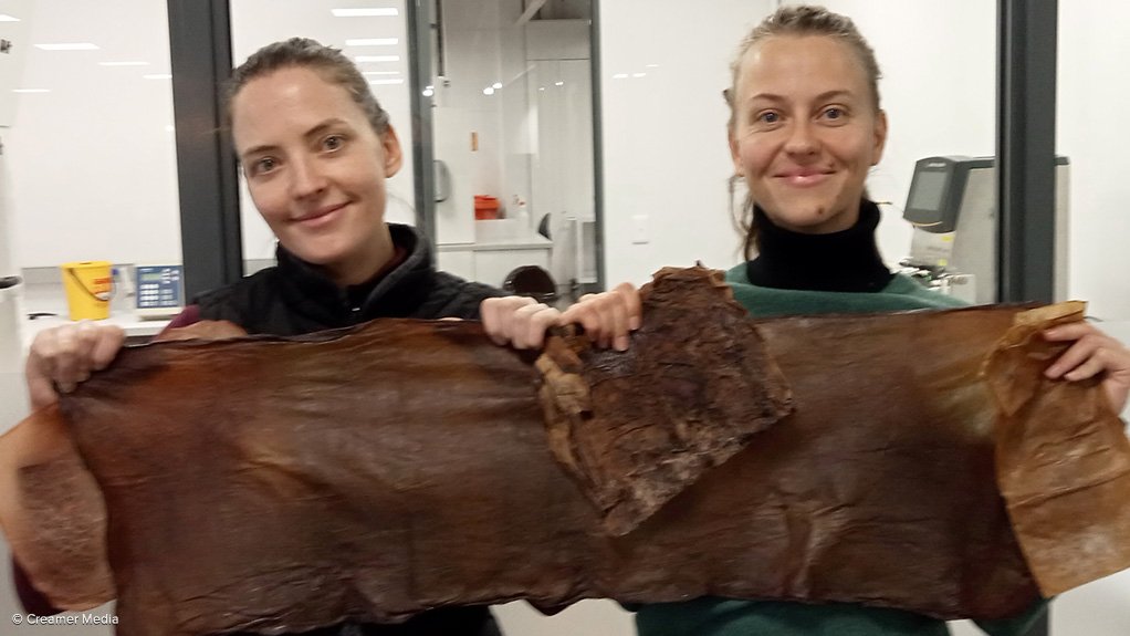 Melian Dott (left) and Chloe Cormack (right), holding biofilm samples of different thicknesses and textures