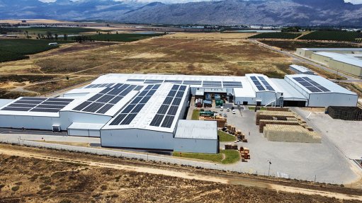 Image of solar panels on roof of Bella Frutta fruit packing facility