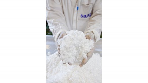 Sappi weathers headwinds to generate cash, post good third-quarter results 