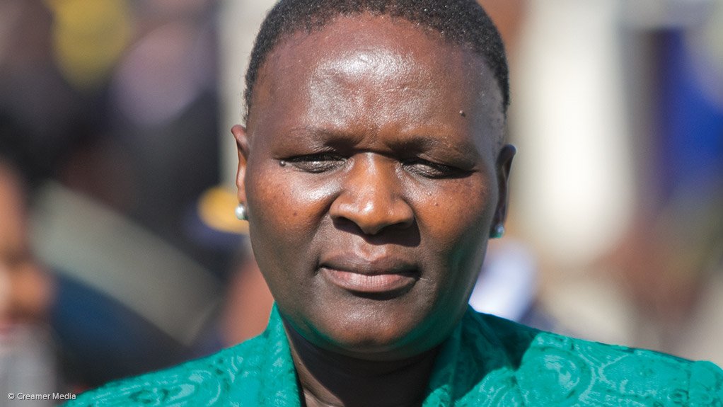 Safer South Africa Foundation CEO Riah Phiyega