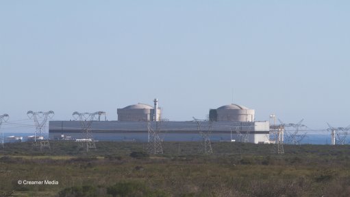 Koeberg Nuclear Power Plant Steam-Generator Replacement Project, South Africa – update