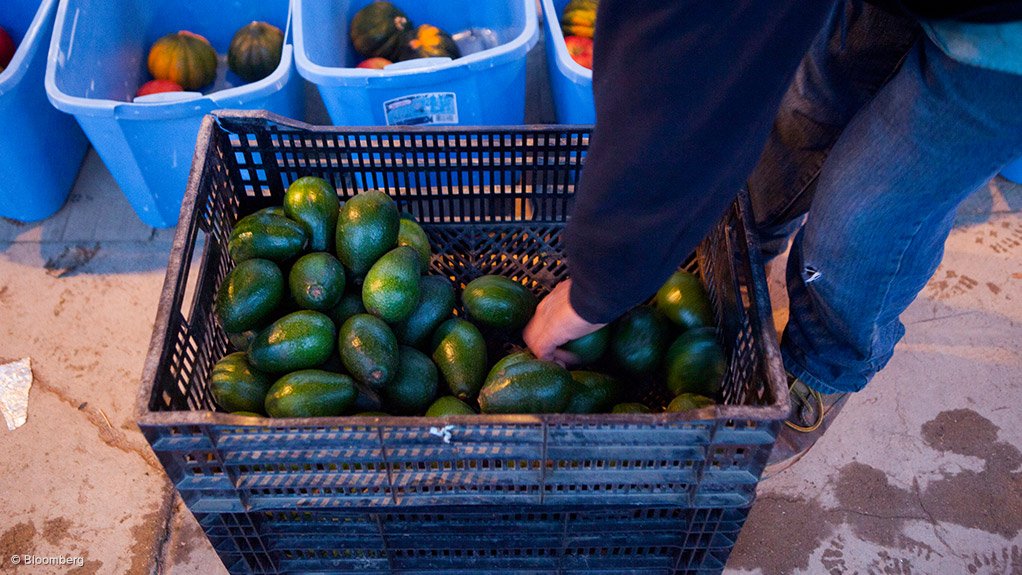 Committee chairperson on Agriculture welcomes agreement with Chinese Minister for export of avocado