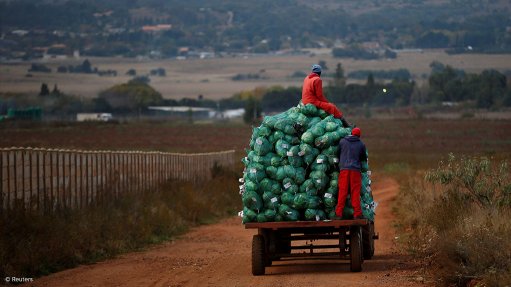 Vegetables being transported on a farm