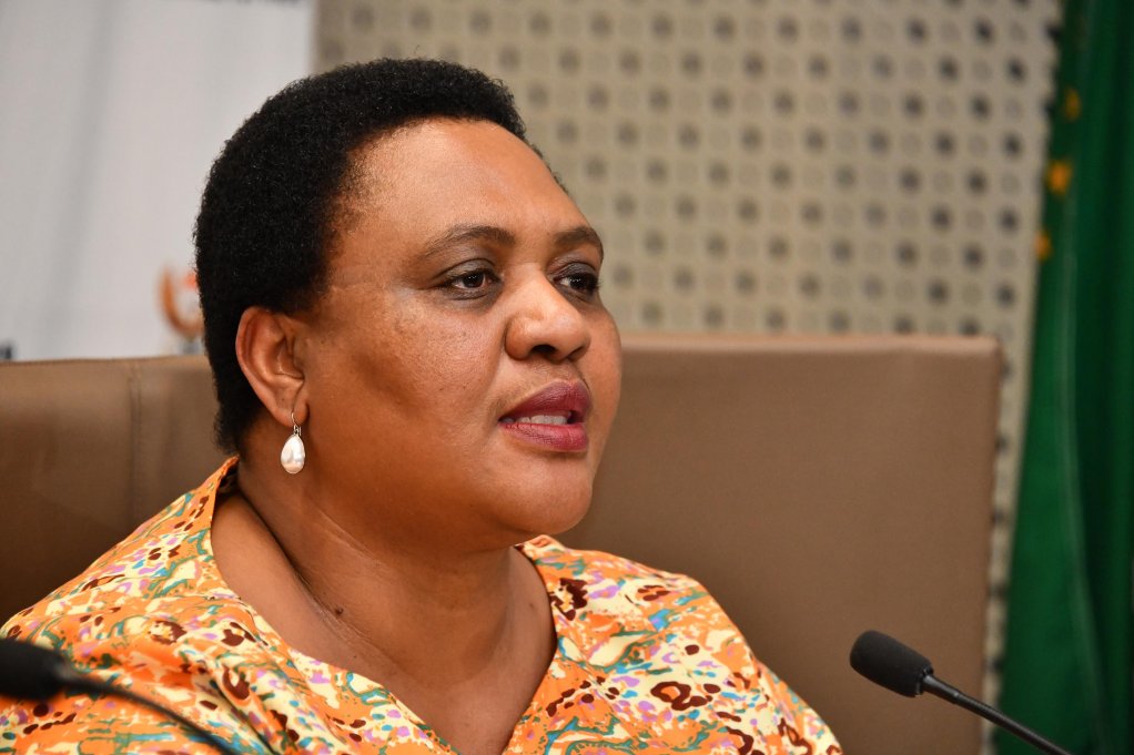  	Agriculture, Land Reform and Rural Development Minister Thoko Didiza