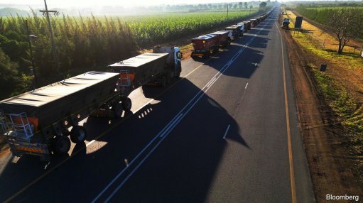 A line of trucks along the N4 national highway, wait to cross South Africa's border into Mozambique, on the outskirts of Komatipoort.