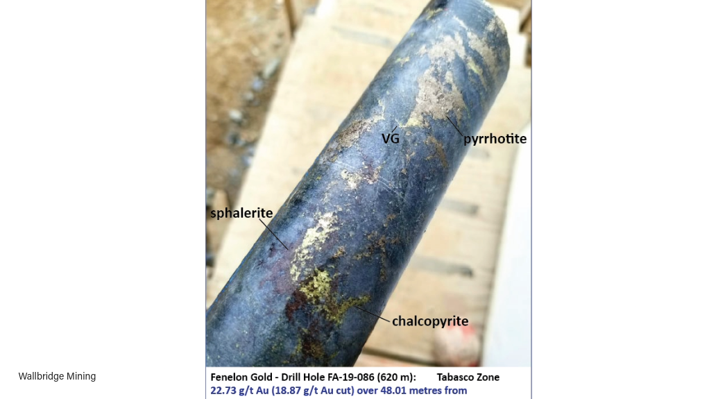 Image of drill core from Fenelon