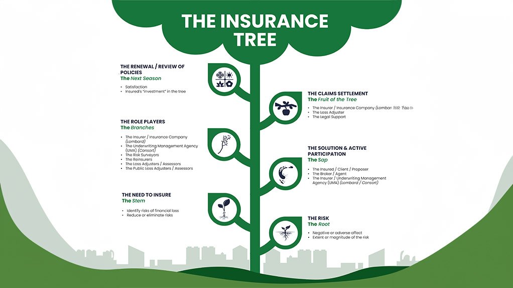 The Insurance Tree