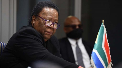 Pandor says Israel's occupation of Palestine 'bred hatred, suffering and pain'