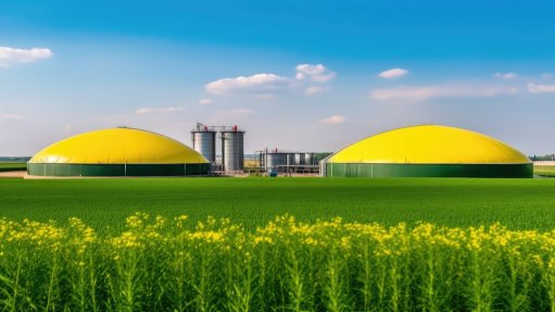 Image of biogas/biomethanol facility