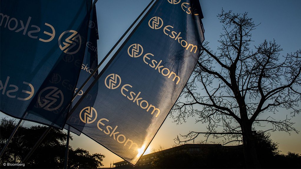 Flags with the eskom logo