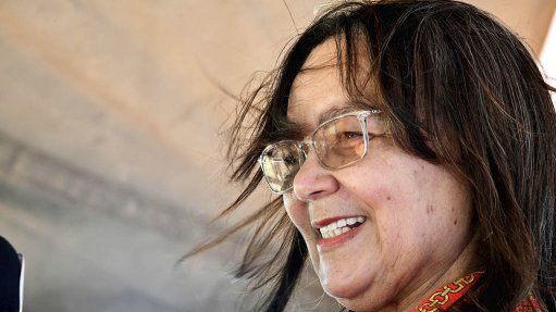  De Lille takes charge of GOOD, dismisses DA-led opposition pact 
