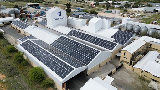 The solar plant at Montego's head office