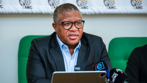  Mbalula calls to suspend Free State mayor who violently confronted resident in front of children 