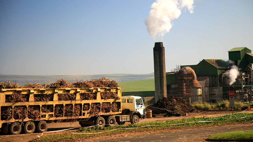 An image of a sugarcane field and mill