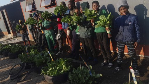 Engen helps grow Fred Junior’s Garden School Project