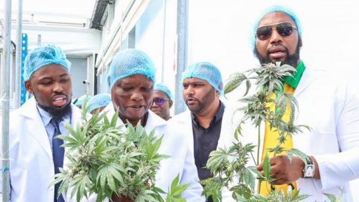 MECs Siboniso Duma and Super Zuma ensures training for Cannabis Growers 