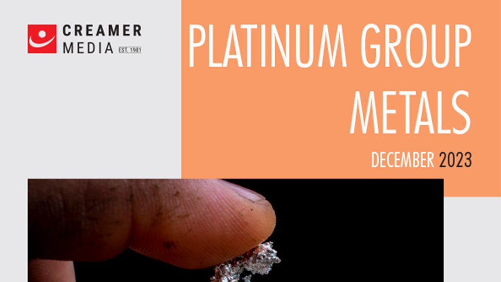 Cover image of Creamer Media's Platinum 2023 report