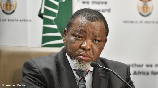 The proposed South African National Petroleum Company is set to have a sole shareholder – The Department of Mineral Resources and Energy Minister Gwede Mantashe