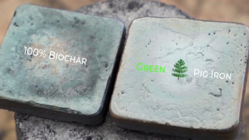 Plates of biochar and green pig iron