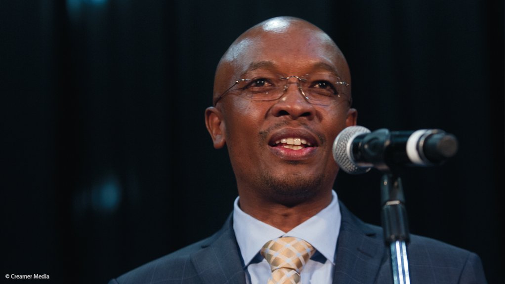 Deputy Minister of Cooperative Governance and Traditional Affairs Parks Tau
