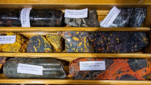 A group of core samples listed and on display at last years PDAC