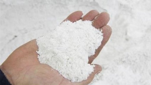Bolivia launches new international tender for lithium extraction