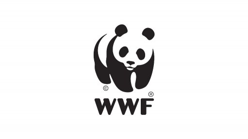 WWF reacts to 2023 rhino poaching statistics