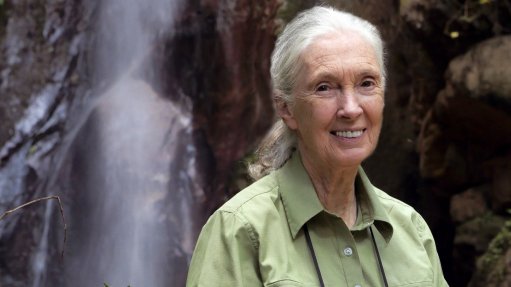 ‘It’s all about this hope thing’, Jane Goodall tells SA researchers