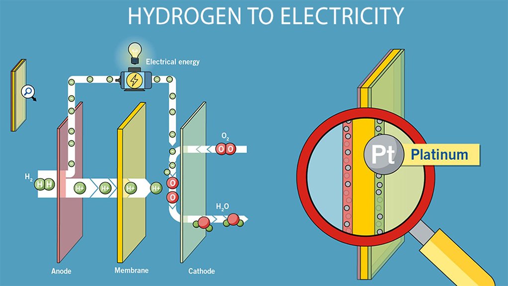 Platinum cathode required in PEM fuel cells to convert hydrogen to electricity. Heraeus infographic.