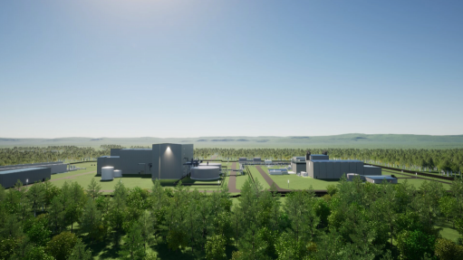 Natrium reactor demonstration project, US – update