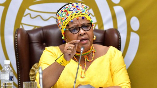 Parly committee will no longer investigate Mapisa-Nqakula for corruption