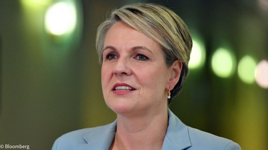 Environment Minister Tanya Plibersek 