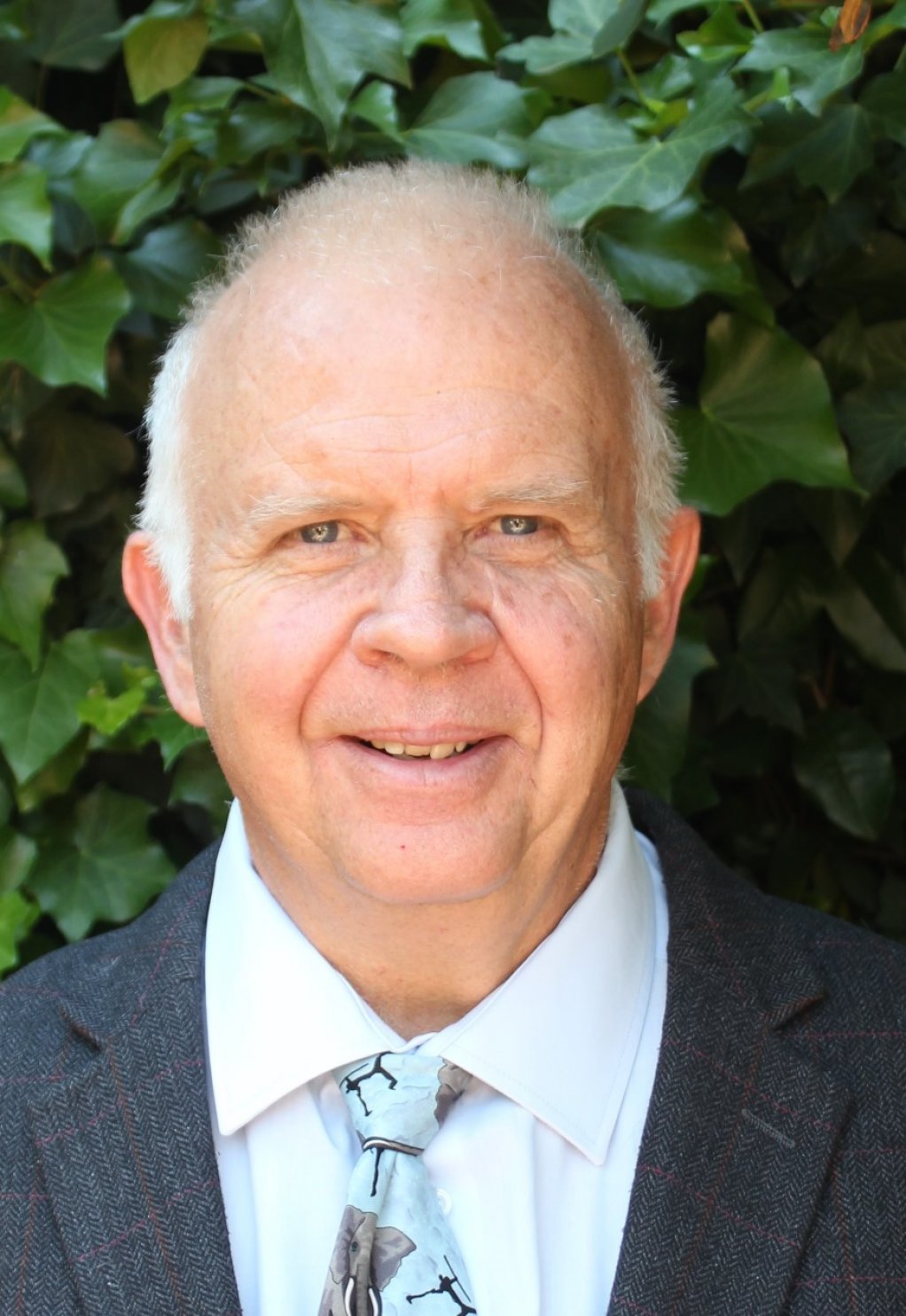 Chief engineer for renewable energy Paul Vermeulen