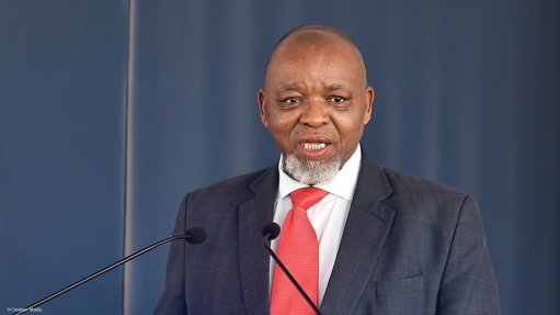 Mantashe engages with stakeholders over Lily, Barbrook mines’ reopening 