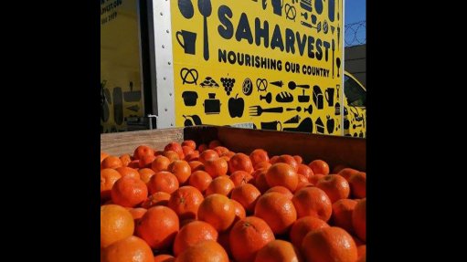 Orange export volumes will be lower than initially expected – CGA 