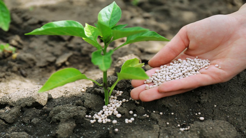 Image of fertiliser on plant