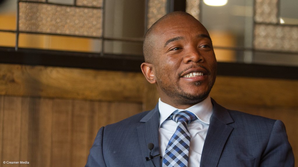 Chairperson of the Standing Committee on Appropriations Mmusi Maimane