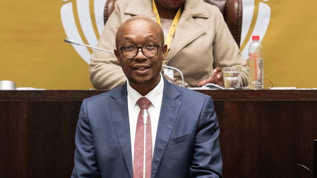 Trade, Industry and Competition Minister Parks Tau