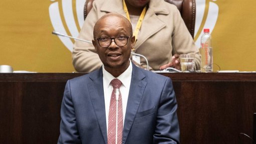 Trade, Industry and Competition Minister Parks Tau