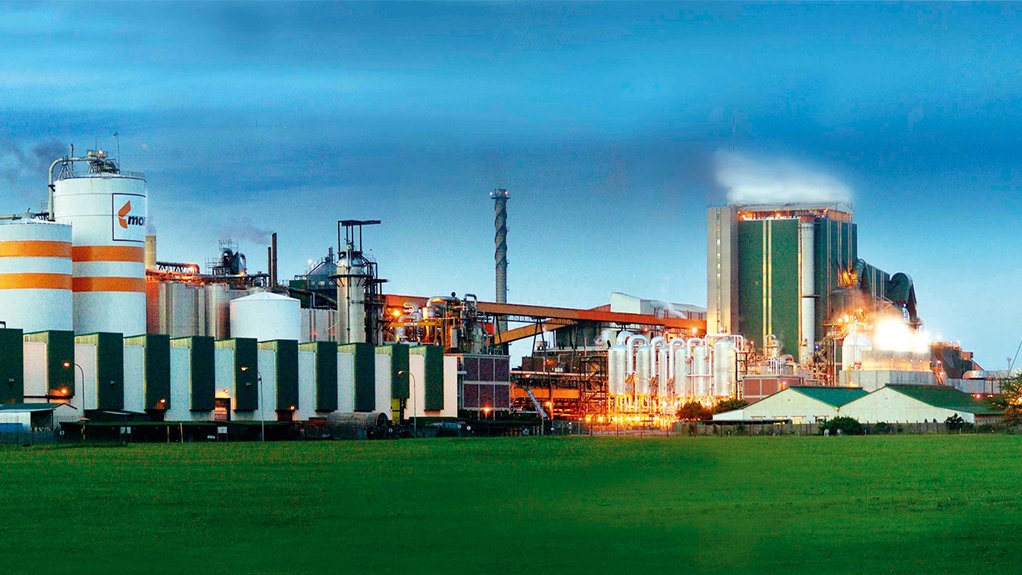 Mondi's Richard Bay mill